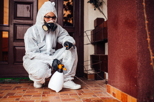 Reliable Bed Bug Control contractor in Redfield, SD by Nex Pest Control